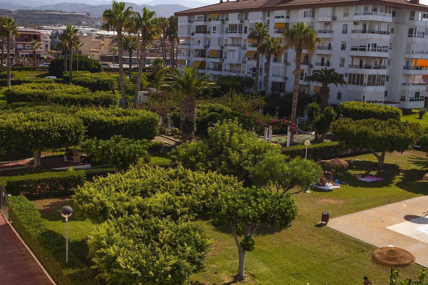 A 100M De Playa Piscina Y Todos Los Servicios Lägenhet Torrox Exteriör bild